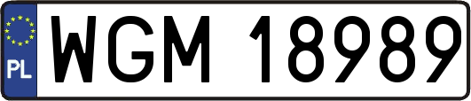 WGM18989