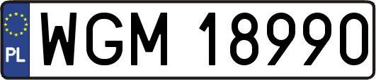 WGM18990
