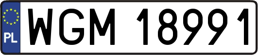 WGM18991
