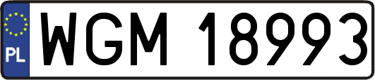 WGM18993