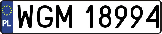 WGM18994