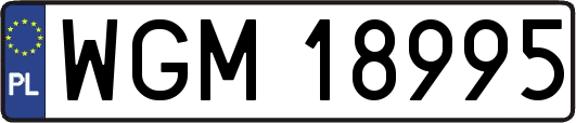 WGM18995