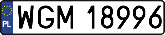 WGM18996