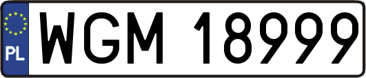 WGM18999