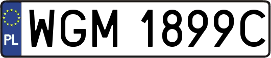 WGM1899C