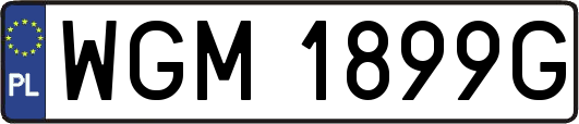 WGM1899G