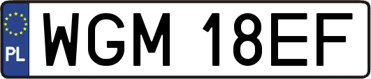 WGM18EF