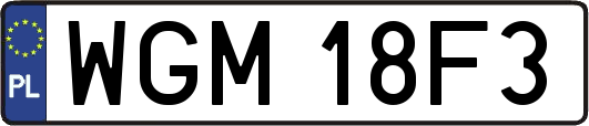 WGM18F3