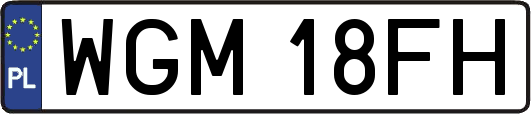 WGM18FH
