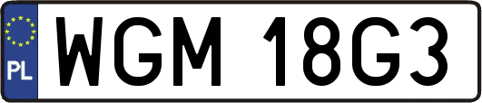WGM18G3
