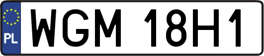 WGM18H1
