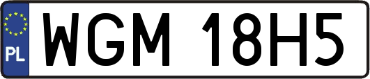 WGM18H5