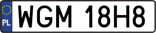WGM18H8