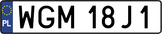 WGM18J1