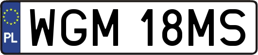 WGM18MS