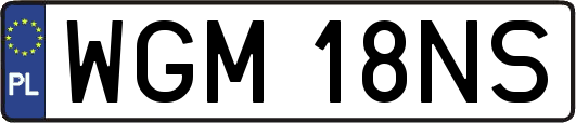 WGM18NS
