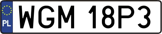 WGM18P3