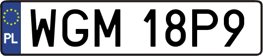 WGM18P9