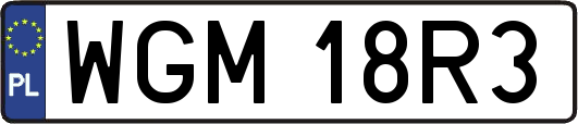 WGM18R3