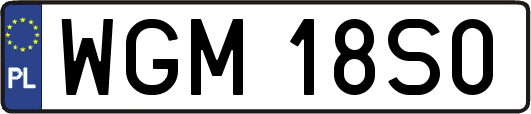 WGM18S0