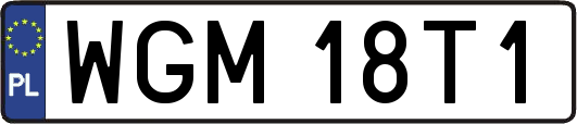 WGM18T1