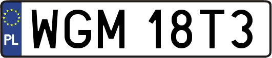 WGM18T3