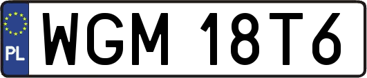 WGM18T6