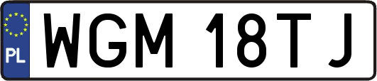 WGM18TJ