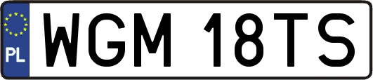 WGM18TS