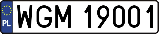 WGM19001