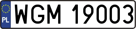 WGM19003