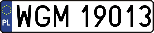 WGM19013