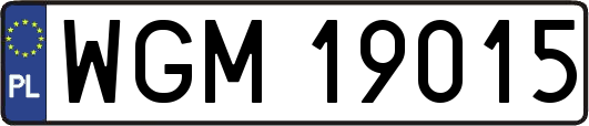 WGM19015
