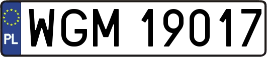 WGM19017