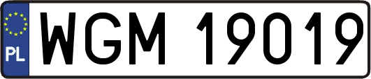 WGM19019