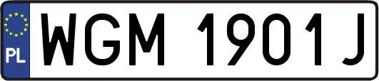 WGM1901J