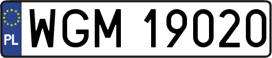WGM19020