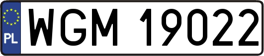 WGM19022