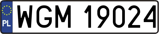 WGM19024