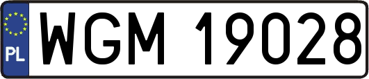 WGM19028
