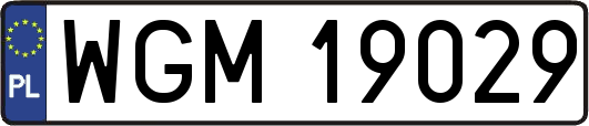 WGM19029