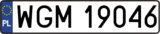 WGM19046
