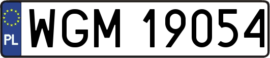 WGM19054