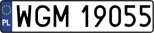 WGM19055