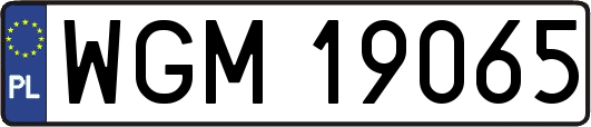 WGM19065