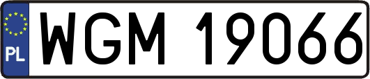 WGM19066