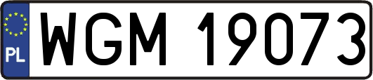 WGM19073