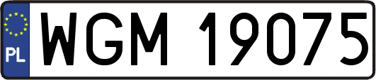 WGM19075
