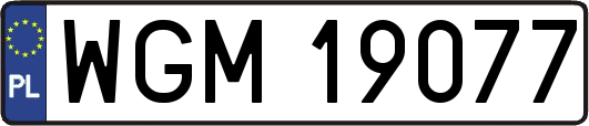 WGM19077