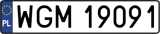 WGM19091